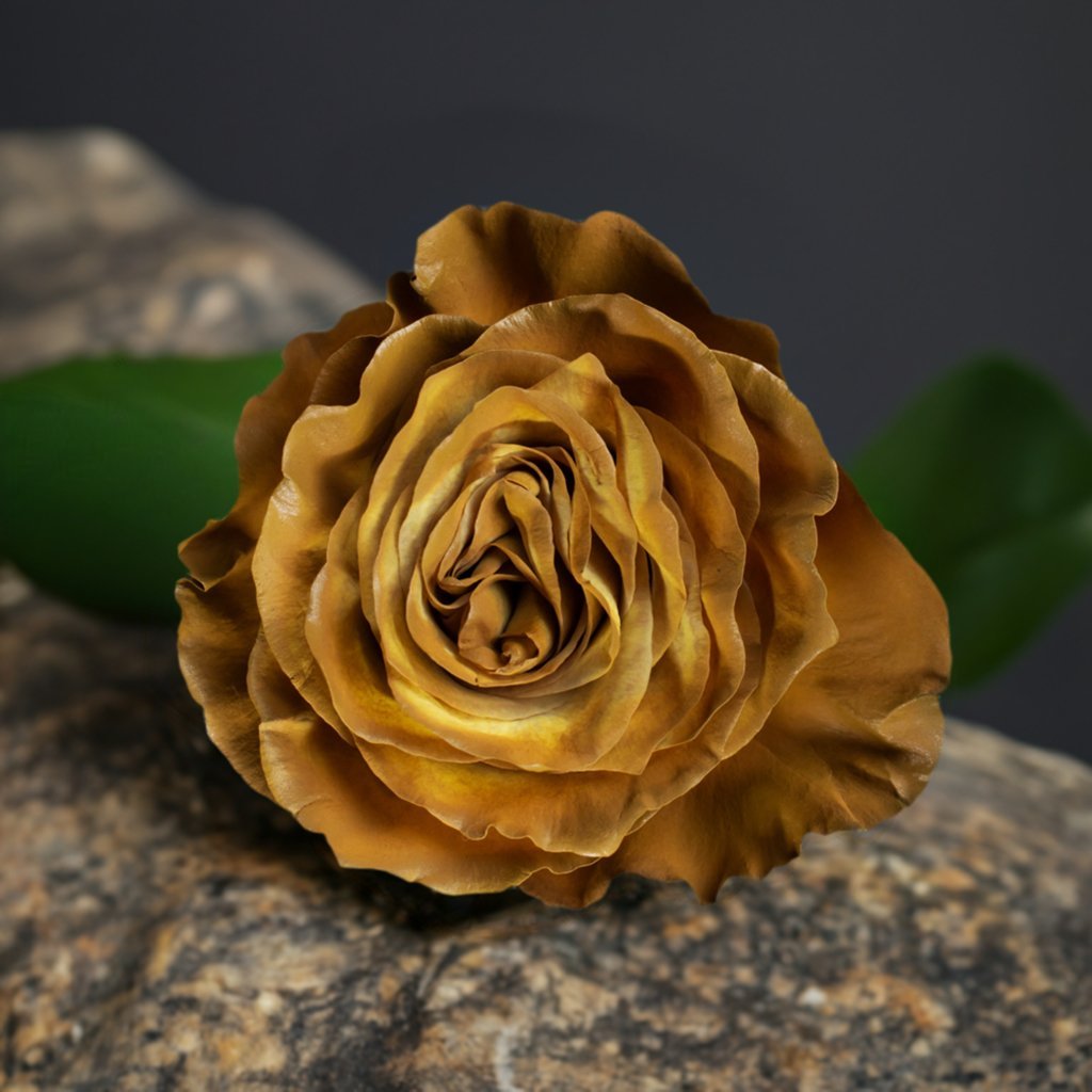 Caramelo Gold Roses Best Roses #1 Roses Best Gift - Roses del fuego