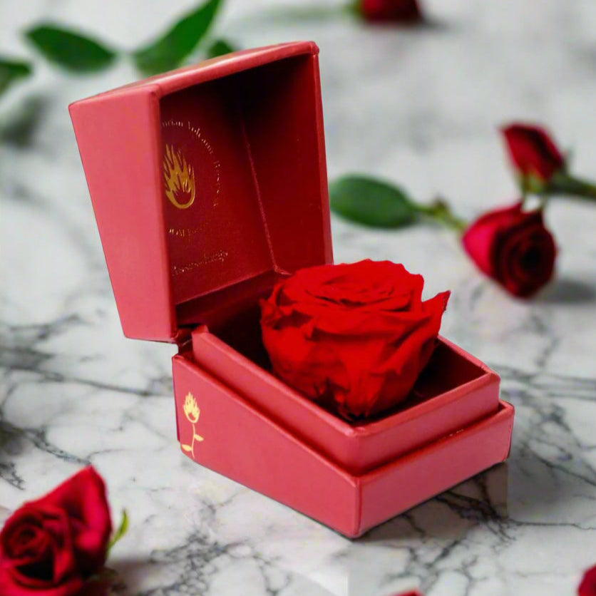 Forever Red Volcanic Rose - Forever Roses in Red Box