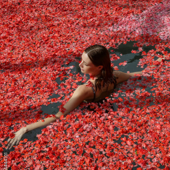 300 Rose Petals Best Roses #1 Roses Best Gift - Roses del fuego