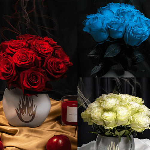 Farmer’s Choice Subscription Best Roses #1 Roses Best Gift - Roses del fuego