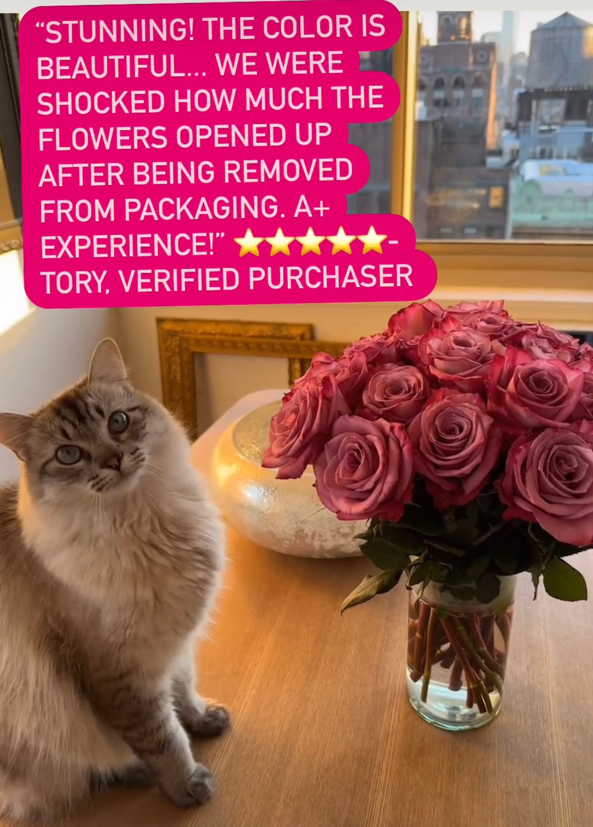 Pink Beauty Roses Customer Review 5 star - Flowers to gift by Roses del fuego
