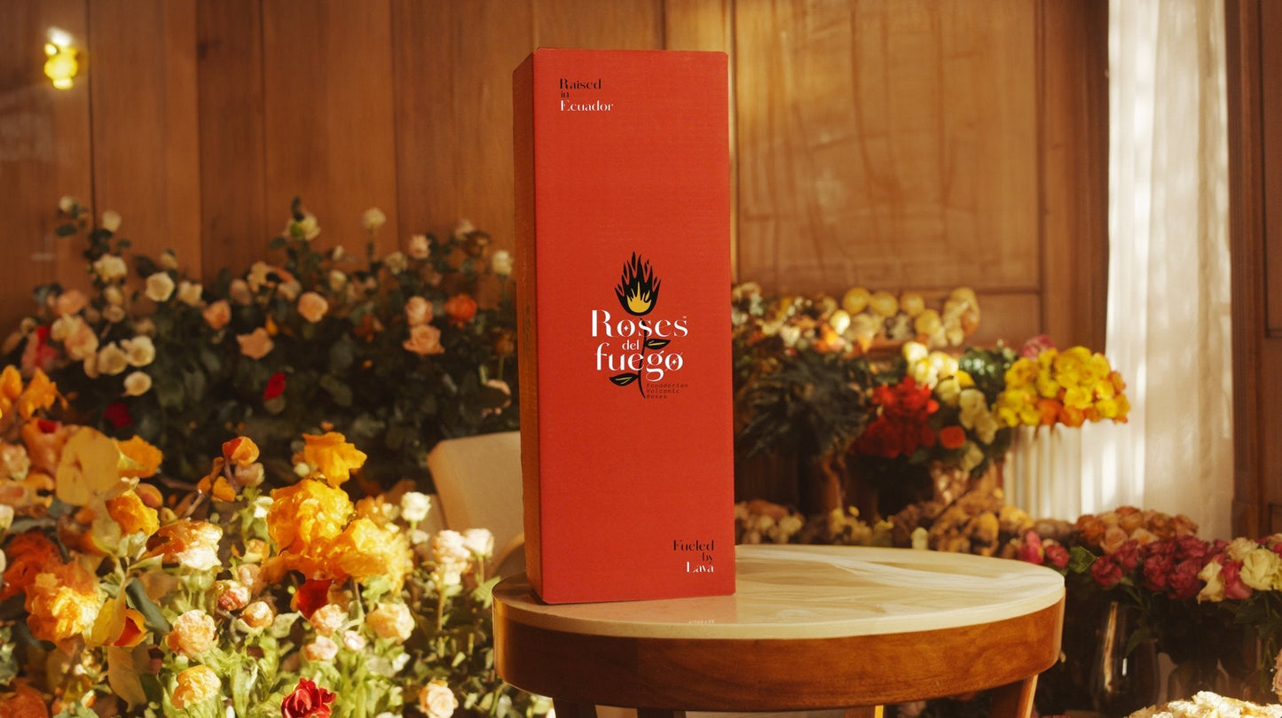 Red Flama Roses - Flowers to gift by Roses del fuego in signature box