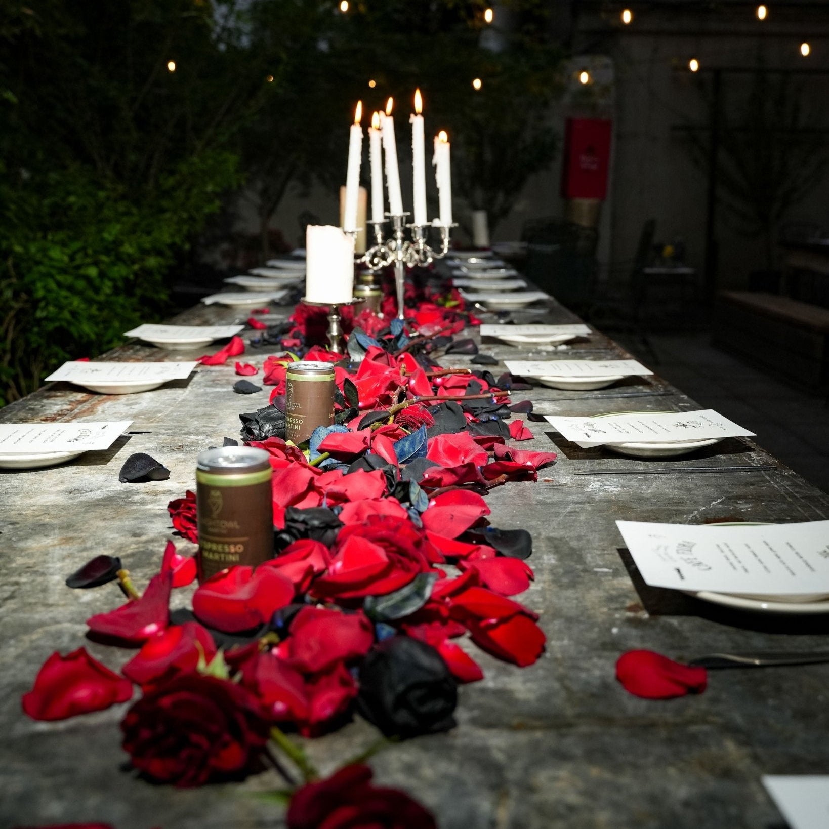 300 Rose Petals Best Roses #1 Roses Best Gift - Roses del fuego