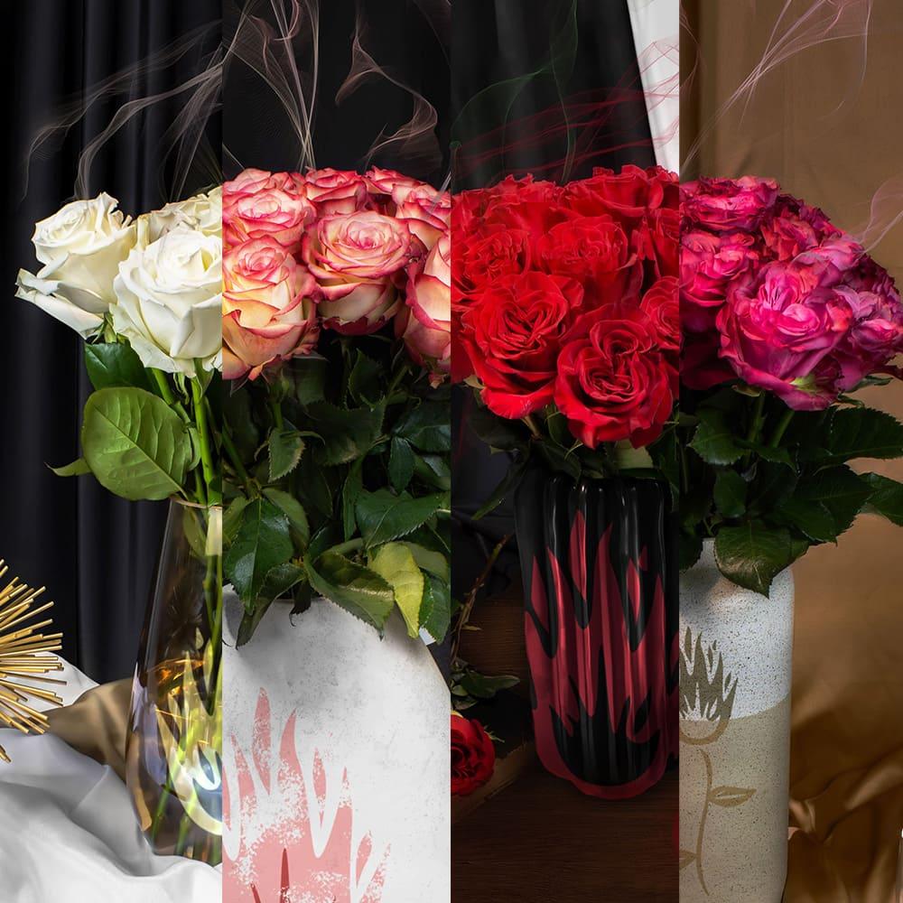 V Shape Roses Elevate your Space: Luxe Volcanic Roses, All Elegant Colors and Blooms ...