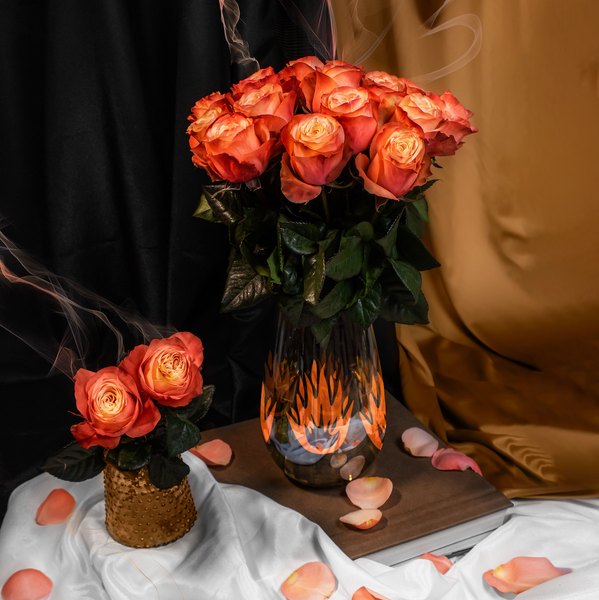 Peach Serenity Roses – Roses del fuego